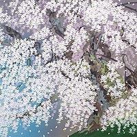 中島千波の取扱実績。絵画のことならアンシャンテへ