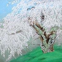 晴日 本久寺の枝垂桜（中島千波）