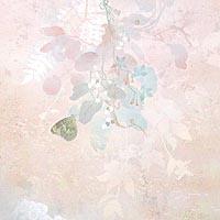 宙（そら）（山田 伸）