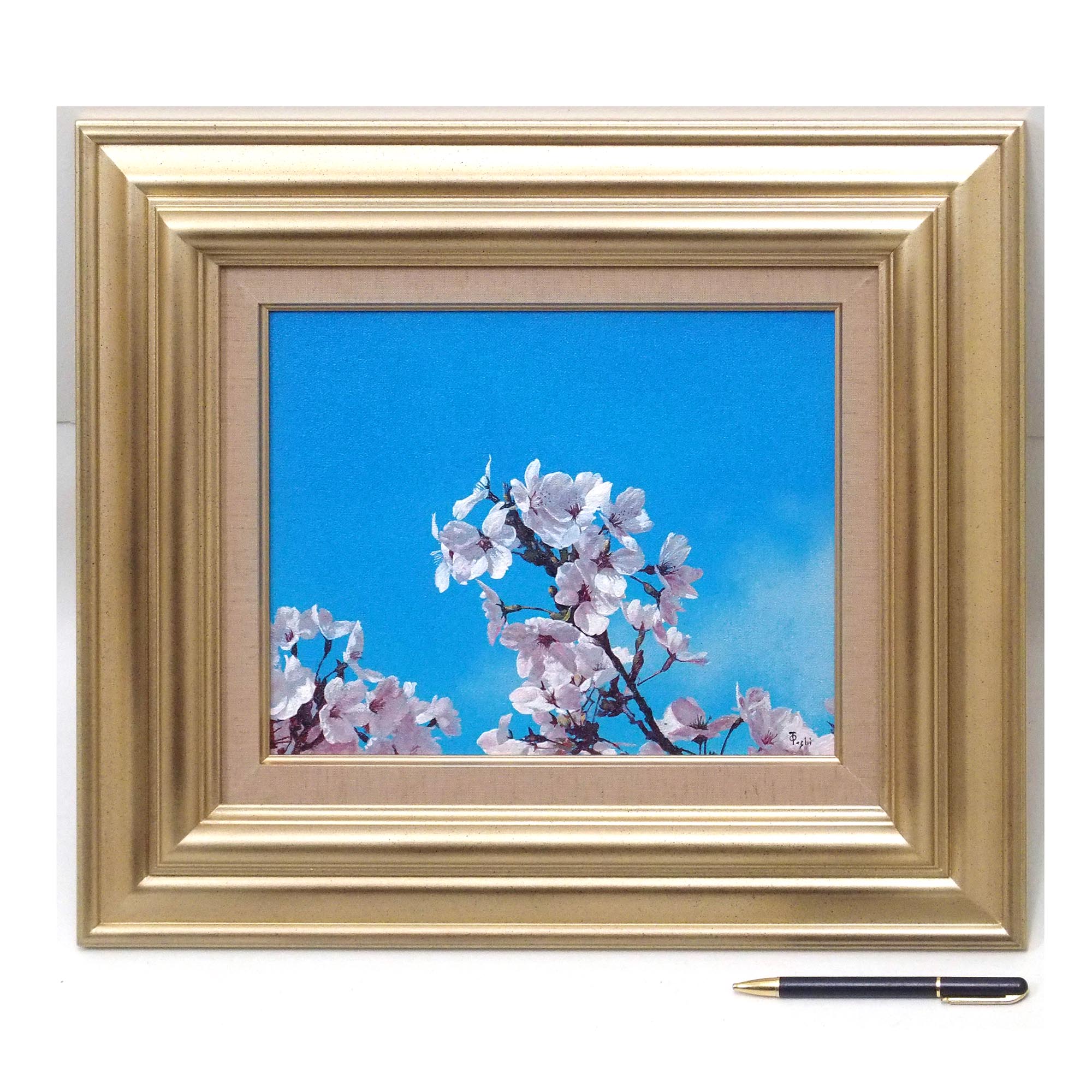 Amazon.co.jp: 平野耕太 大原画展 公式アートブック : おもちゃ